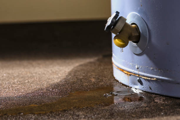 Best Emergency water extraction  in Oceana, WV