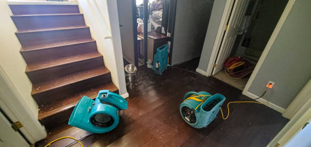 Best Flood restoration services  in Oceana, WV