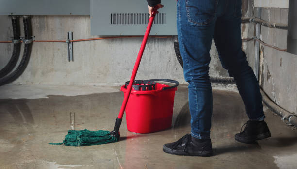 Best Mold removal after water damage  in Oceana, WV