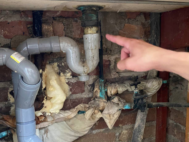 Best Local water damage restoration  in Oceana, WV