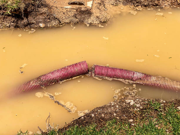Best Water damage restoration near me  in Oceana, WV